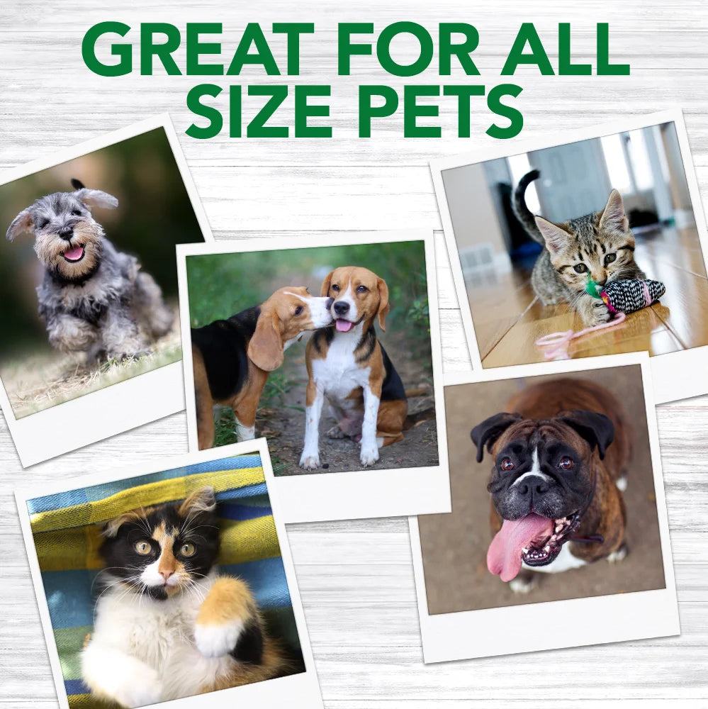 Dog Toothbrush - 10 Green Soft Finger Brushes per Pack -1.76 Oz.