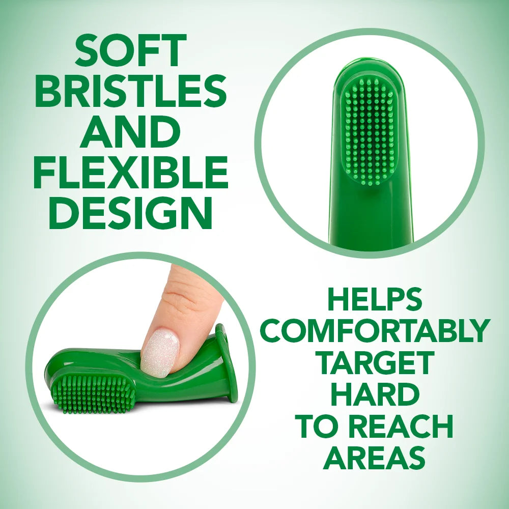 Dog Toothbrush - 10 Green Soft Finger Brushes per Pack -1.76 Oz.